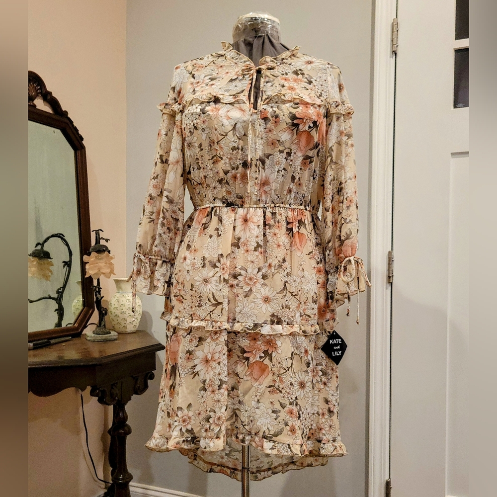 NWT 14W Sheer Ruffly Floral Dress
